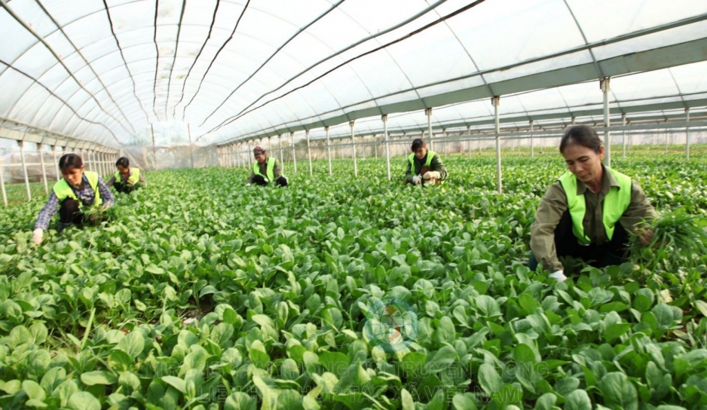 Thủ tướng Chính phủ phân công chuẩn bị 7 dự án luật trong giai đoạn 2022 – 2023